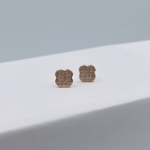 Aretes Brillantes