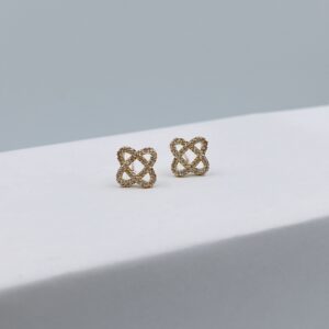Aretes Brillantes