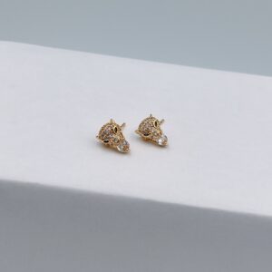 Aretes pantera